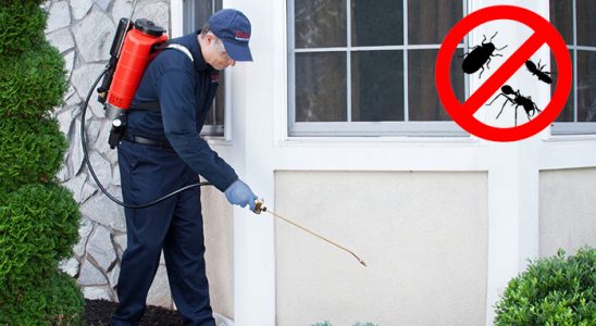 Doğanyol Dezenfeksiyon böcek ilaçlama ve haşere kontrolü — ilaclama-tr.com